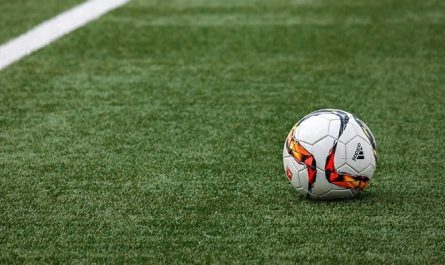 Avusturya – Bosna Hersek Dünya Kupası Elemeleri Maçı Saat Kaçta? Hangi Kanalda?