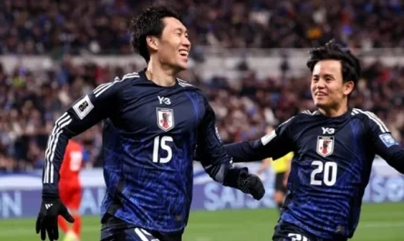 japonya isveç