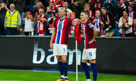 Senegal Norveç Dünya Kupası Maçı